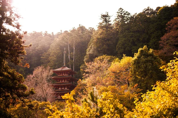 Pagoda Cinco Pisos Templo Hasedera Encuentra Las Montañas Fue Fundada —  Fotos de Stock