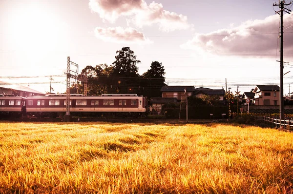 Oct 2011年日本奈良 日落时分 日本通勤列车通过奈良市农村地区的稻田 — 图库照片