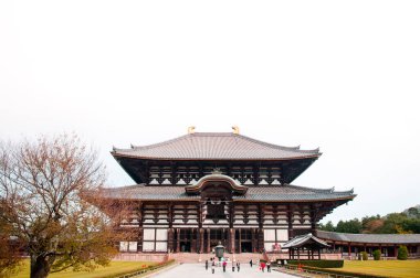 Todaiji Tapınağı 'nın önü - Nara - Japonya