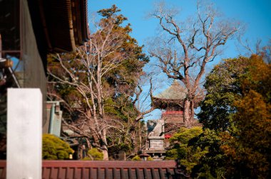 DEC 12, 2012 Narita, Chiba, JAPAN - Somon ana giriş kapısından Narita San Shinsho ji tapınağı görüntüsü