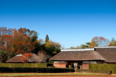 DEC 12, 2012 Chiba, JAPAN - Eski güzel tarihi Daitou salonu veya Narita San Shinsho ji tapınağının şeftali salonu