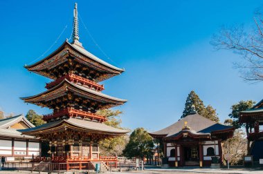 DEC 12, 2012 Chiba, JAPAN - Eski güzel tarihi Daitou salonu veya Narita San Shinsho ji tapınağının şeftali salonu