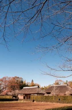 DEC 12, 2012 Chiba, JAPAN - Eski güzel tarihi Daitou salonu veya Narita San Shinsho ji tapınağının şeftali salonu