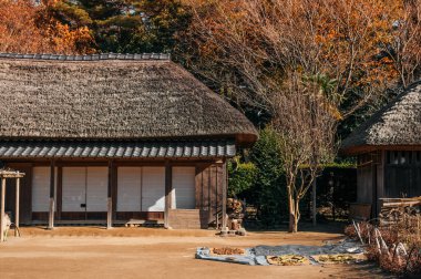 DEC 12, 2012 Chiba, JAPAN - Eski güzel tarihi Daitou salonu veya Narita San Shinsho ji tapınağının şeftali salonu