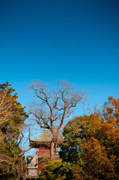 Dec 2012 Narita Chiba Giappone Narita San Shinsho Vista Tempio — Foto Stock