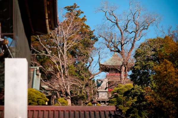 DEC 12, 2012 Narita, Chiba, JAPAN - Somon ana giriş kapısından Narita San Shinsho ji tapınağı görüntüsü