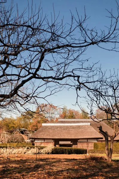 DEC 12, 2012 Chiba, JAPAN - Eski güzel tarihi Daitou salonu veya Narita San Shinsho ji tapınağının şeftali salonu