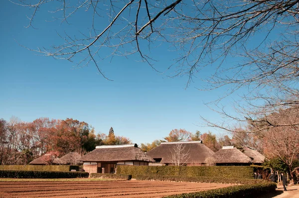 DEC 12, 2012 Chiba, JAPAN - Eski güzel tarihi Daitou salonu veya Narita San Shinsho ji tapınağının şeftali salonu
