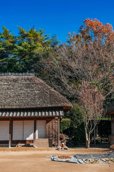 DEC 12, 2012 Chiba, JAPAN - Eski güzel tarihi Daitou salonu veya Narita San Shinsho ji tapınağının şeftali salonu