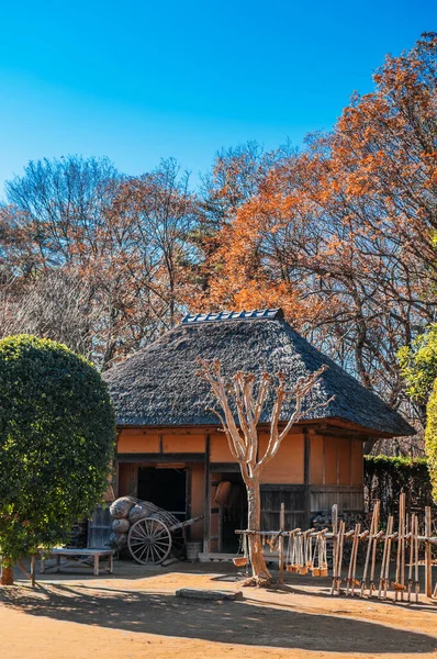 DEC 12, 2012 Chiba, JAPAN - Eski güzel tarihi Daitou salonu veya Narita San Shinsho ji tapınağının şeftali salonu