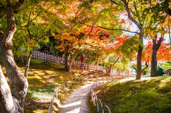 Okayama Kalesi Parkı, Okayama, Japonya 'da canlı sonbahar yaprakları ve güzel bahçe manzarası