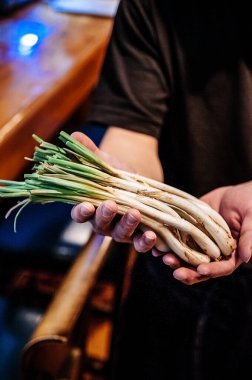 Japanese spring onion in a male chef hands close up shot clipart