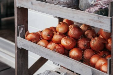 Mutfaktaki eski tahta kutuda güzel taze soğanlar. Yakın çekim