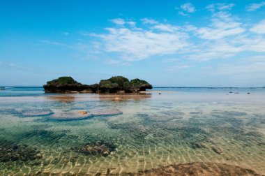 Iriomote, Hoshizuna sahilinin taş ve kaya manzarası Okinawa, Japonya. Kayalık plajlı ve pelerinli tropikal ada