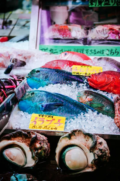 Jan 2018 Naha Okinawa Japan Groene Papegaaienvis Bij Lokale Viswinkel — Stockfoto