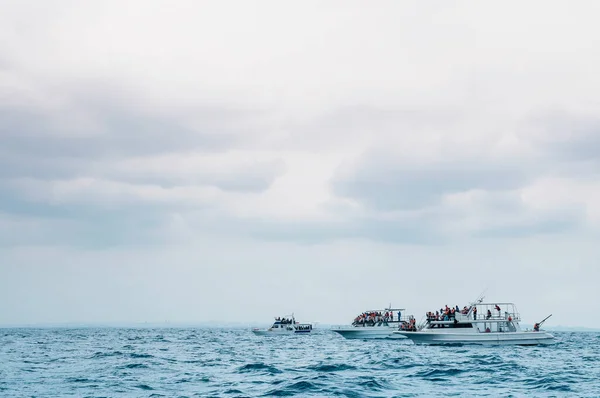 Лодки Океане Пасмурный День Ожидании Наблюдения Китами — стоковое фото