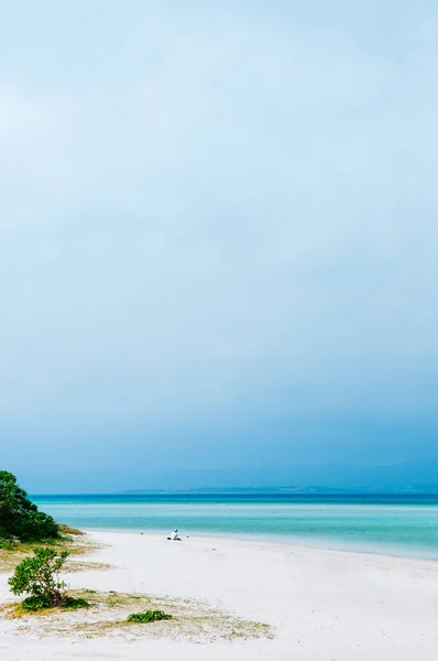 Hermosa Playa Blanca Mar Azul Turquesa Sin Gente Taketomi Okinawa — Foto de Stock