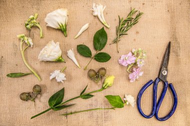 Çiçekçi makası, çeşitli çiçek ve yapraklar.