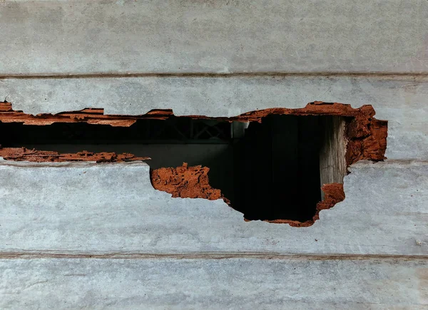 大孔洞白蚁破坏的木墙 有严重白蚁问题的房屋结构 被毁的旧木墙 — 图库照片