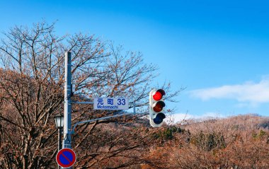 DEC 2, 2018 Hakodate, JAPAN - Sokak lambası Motomachi yolunda yaya geçişi yapraksız ağaç ve mavi kış gökyüzü.