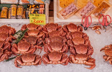 DEC 2, 2018 Hokkaido, Japonya - Hakodate Asaichi balık pazarı Hokkaido 'da yaşayan Japon at kılı yengeçleri veya Kegani. Üst manzara canlı deniz ürünleri fotoğrafı.