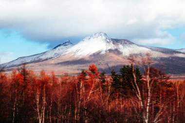 Hakodateyama 'nın Komagatake Dağı. Hokkaido kışın kuru ve güzel renkli ormanlarıyla.