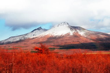 Hakodateyama 'nın Komagatake Dağı. Hokkaido kışın kuru ve güzel renkli ormanlarıyla.