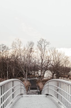 Onuma Koen Quasi - Ulusal Park Doğa Köprüsü Kurumuş yapraksız ağaçla huzurlu kış mevsiminde. Hakodate, Hokkaido - Japonya.