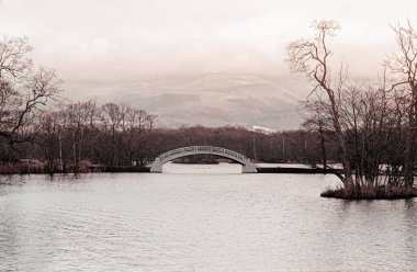 Onuma Koen Quasi - Ulusal Park Doğa Köprüsü Kurumuş yapraksız ağaçla huzurlu kış mevsiminde. Hakodate, Hokkaido - Japonya.