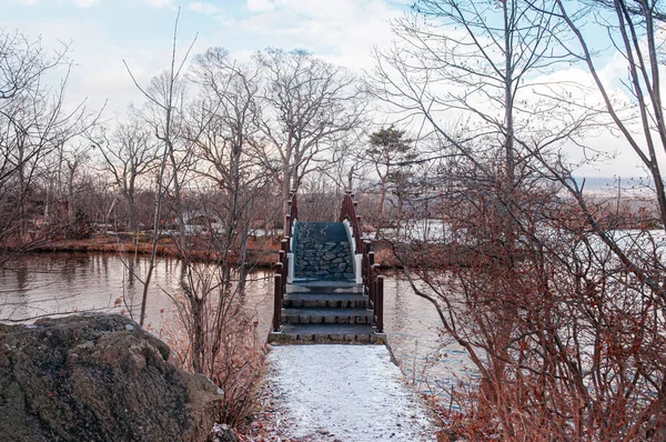 오무마 자연의 다리는 잎없는 나무와 평화롭게 겨울을 Hakodate Hokkaido Japan — 스톡 사진