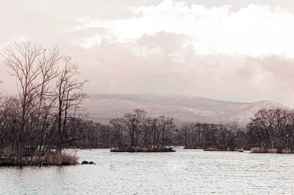 Onuma Koen Quasi National Park Lake Árvore Sem Folhas Pequena — Fotografia de Stock