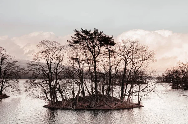 Onuma Koen Quasi Park Narodowy Jezioro Drzewo Liściaste Małej Wyspie — Zdjęcie stockowe