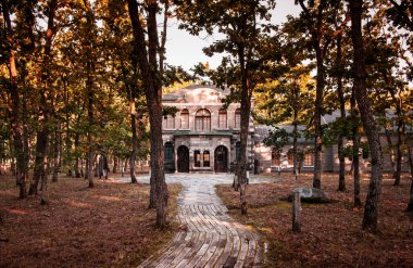 7 Ekim 2014 Obihiro, Hokkaido, Japonya: Rokkatei Nakasatsunai Sanat Köyü, Çam Ormanı 'ndaki Güzel Sanat Müzesi.