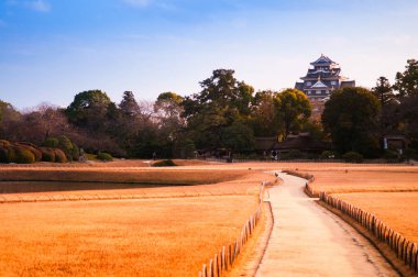 Okayama Kalesi manzarası Okayama Kalesi 'nin kuru çimlerinden.