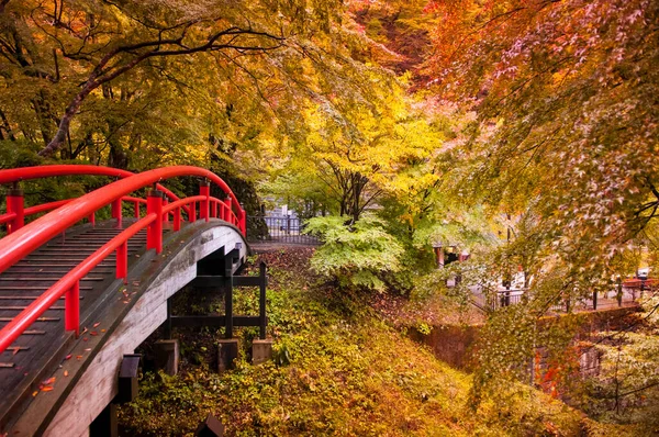 Czerwony Most Jesienny Las Ikaho Onsen Gunma Japonia — Zdjęcie stockowe