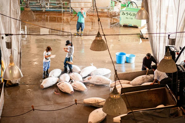 Jun 2014 Kanagawa Jepang Pembeli Memeriksa Tuna Beku Untuk Lelang — Stok Foto