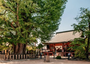 27 Mayıs 2013 Takayama, Gifu, Japonya - Hida Kokubunji eski Shingon Budist Takayama Tapınağı, tahta ana salon Marunochi döneminden (A.D.1336-1573) Takayama 'daki en eski binalardan biridir.)