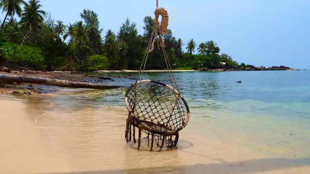 Scaun leagăn pe plaja insulei tropicale care se mișcă cu vântul — Videoclip de stoc
