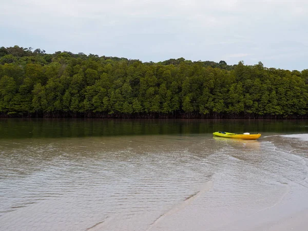 Bateau Kayak Dans Canal Forêt Mangrove Sur Île Tropicale Loisirs — Photo