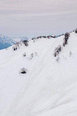 Toyama, Japonya - Tateyama Kurobe Alpine Route 'deki karlı dağ ve kuru ağaç manzarası, Daikanbo istasyonundan manzara