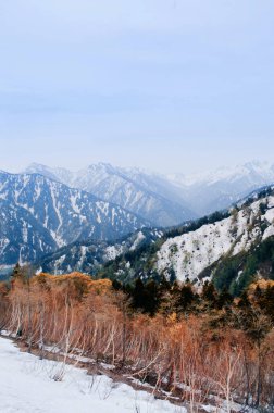 Tateyama Kurobe Alp Yolu 'ndaki kar dağı ve alp ağacının harika doğa manzarası - Japonya Alpleri. Toyama - Japonya