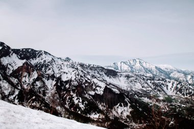 Tateyama Kurobe Alp Yolu 'ndaki kar dağı ve alp ağacının harika doğa manzarası - Japonya Alpleri. Toyama - Japonya