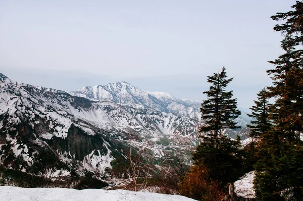 Toyama Japonia Egzotyczna Przyroda Śnieg Widok Góry Sosna Japońskich Alp — Zdjęcie stockowe