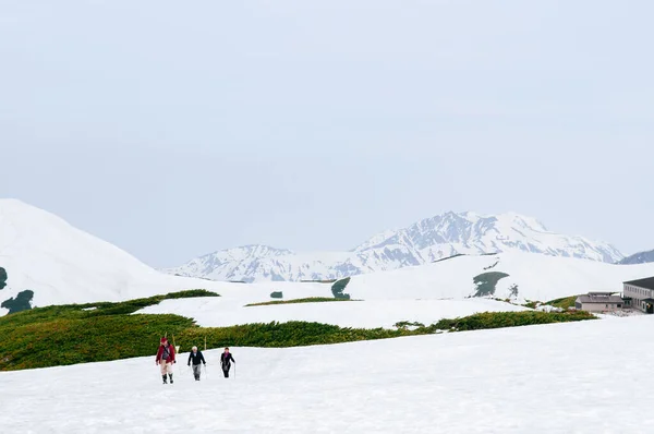 Maj 2013 Toyama Japonia Egzotyczny Widok Przyrodę Szlak Spacerowy Śnieżnej — Zdjęcie stockowe