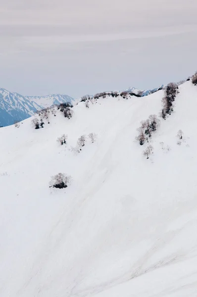 Toyama Japonya Tateyama Kurobe Alpine Route Deki Karlı Dağ Kuru — Stok fotoğraf