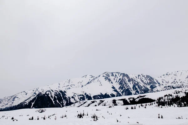 富山県 日本の雪の山のアルプス 立山黒部アルペンルート上の緑豊かな自然景観 — ストック写真