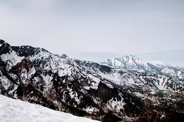 Wielki Widok Przyrodę Góry Śniegu Drzewa Alpejskiego Tateyama Kurobe Alpejski — Zdjęcie stockowe