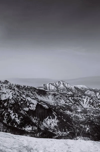 Υπέροχη Θέα Της Φύσης Του Βουνού Χιόνι Και Αλπικό Δέντρο — Φωτογραφία Αρχείου