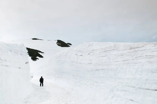 2013年5月28日富山県 立山黒部アルペンルートの雪壁の間を歩くエキゾチックな自然景観と観光客が冷たい勝者のシーンを楽しむ — ストック写真