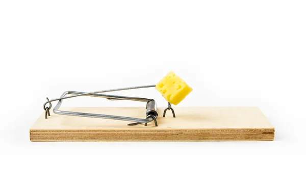 Mousetrap on white background — Stock Photo, Image